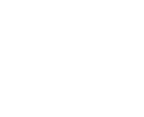 IDEA